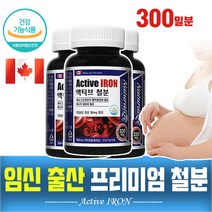 철분 임신초기 임신준비 임신전 영양제 여성 변비없는 빈혈 모유수유 빈혈에좋은 철분제 iron tablets, 3통, 100일복용
