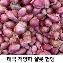 신선한 태국 양파 샬롯 적양파 험댕 250g 1kg 10kg 가정용 업소용 대용량 샬롯 작은 양파 태국 전통양파 동남아식재료, 500g