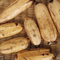 산지직송 통연근 햇연근 파지연근 특품 무농약 세척연근 생연근 15kg, 1박스, 못난이(파지) 15kg