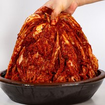 더아삭김치 100% 국내산 전라도 배추김치 당일제조, 10kg, 1개