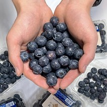 수입 고당도 프리미엄 블루베리 미국 칠레, 수입 블루베리 4팩 (125gX4), 4개