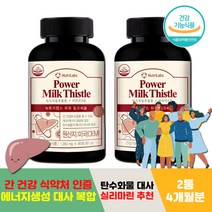남성 여성 현대인 밀크시슬 에너지 생성 대사 복합제 고함량 실리마린 엉겅퀴 여자 남자 아빠 엄마 선물 간 영양제 100% 밀크씨슬 비타민B 미국 기능성 AST GOT 호모시스테인 추천