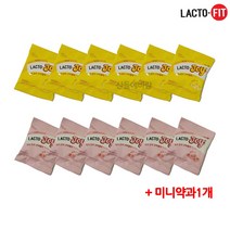 락토조이 구미젤리 믹스 1개당 25g (12개 24개 48개 옵션) 유산균 젤리+미니약과1개서비스, 소분12개+미니약과1