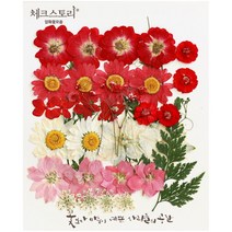 [바보사랑] 압화 꽃모음 B타입 - 진실한마가렛 꽃모음, 상세 설명 참조