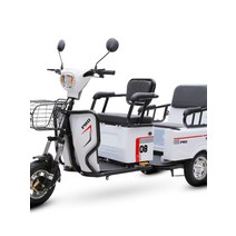 어르신 전동차 세발 전기 삼륜차 2인승 3발 48V 600W, 60V800W+특수리튬배터리20A(약50km)