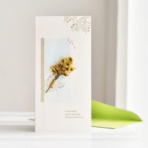 드라이플라워 메세지 상품권 현금 고급 돈봉투 편지봉투 카네이션 할아버지, 1개, 구매수량