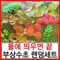 수초하우스) 물에 띄우면 끝. 초보 부상수초 랜덤세트(알아서 보내줌), 심플세트