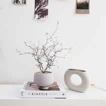 마오리 코로키아 소포라 인테리어 식물 토분 set, 소포라+화이트 인테리어 화분