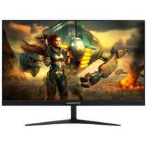 정림전자 정림전자 GMASTAR JE242L6741 IPS FHD 리얼 165 HDR 게이밍 무결점