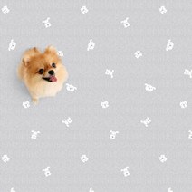 파크론 펫노리터 냄새케어논슬립애견매트 1M 14종모음, 개린이유치원