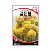 모칸도 세계종묘 꽃씨앗 골든볼 50립, 1개