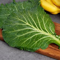 산세로 유기농 케일 1kg 녹즙용아이스박스, 단품