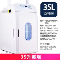 냉장고 화장품 차량용 효과적인 사이즈별 컬러풀한 쿨러 기숙사용품 캠핑 아이스박스 자동차 빌트인 전기 스마트카 캠핑카용 국산 2도어 24v 미니 서랍, 8L영국블랙, F