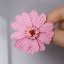 재료 꾸러미 백일 국화 장미 영생화배 꽃 스위트 농원 DIY 대지 소국 4695479449, 한 송이 옅은 회홍색 03461 -1