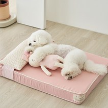 뭉밍 강아지 메모리폼 침대 고양이 방석 사계절 여름, 핑크
