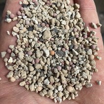 산야초 10L, 5개