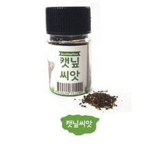 DIY 캣닢 키우기 재배 씨앗 고양이 용품 캣그라스 애완묘풀, 1개