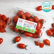 [과일코디] (HACCP인증) 달콤한 스테비아 대추방울 토마토 / 꿀마토 / 설탕토마토 500g 2팩 (1kg)