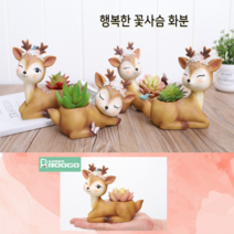 공기정화식물 화분 반려식물 춘봉철화 다육식물 1525119, 1개
