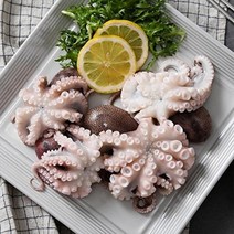 자연맛남 [자연맛남] 태안 당일조업 활 주꾸미 1kg(암수랜덤/빙장포장/15미내외)