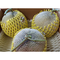 고당도 머스크 멜론 2수 3수 4수 / 3kg 4kg 8kg melon 얼스 고창 세지 곡성 멜론 메론 꿀메론 가정용 선물용 선물세트 추석 명절 선물, 4kg(2수), 1개