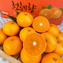 하늘이 내린 향기 최상급 제주 천혜향 천해향 천혜양 천애향 가정용 선물세트, **선물용 / 3kg