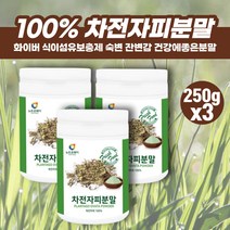 차전피 가루 분말 자전차피 화이버 파이버 섬유질 식이섬유소 숙변 잔변감 똥안나올때 식이섬유 보충제 딱딱한변 묽은변 식이섬유 섬유소 불용성 수용성 차전피가루 자전차피 차전차