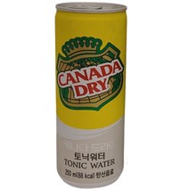캐나다 드라이 토닉워터 250ml 30개