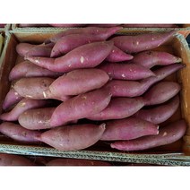 익산 탑마루 날씬이 당도 꿀고구마 2kg 최상급 로얄사이즈