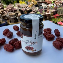 숙이네농원 보은대추 수제대추청 대추고, 250g