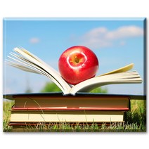 SHEXIU 3D 원형 보석십자수 키트 일체형 캔버스 액자 50 x 40 cm, AE051  풋사과와 빨간사과2x1세트