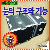 과학실험교구 인체의 신비 눈에 상이 맺히는 원리 간이사진기 만들기 키트 5인세트, 본상품선택, 본상품선택