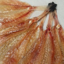 아귀꼬리포 대 6마리 (약350g) 통살아귀포 아귀포 쪽빛누리, 본품