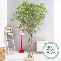 실내인테리어 인조나무 123종 / 플트 조화나무 C, C07.라인-자작나무 220cmK/코너형