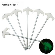 아웃도어 캠핑 야광 나무판못 모래천막 대천막 방풍 고정 대지못 스틸못 25cm, 보여진 바와 같이