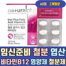 임신준비 초기 철분 엽산 비타민B12 영양제 철분제 건강기능식품 블랙베리 블랙커런트 블루베리 비헴철 가용성 햄철 보충제 음식 임산부 출산후 산모 수유부 산후 모유수유 임신부 노인