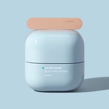 라네즈 워터뱅크 블루 히알루로닉 크림 50ml, 02. 지복합용 크림