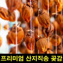 고씨네 특급 곶감세트 건시곶감 반건조곶감 곶감선물, 쿠팡이것저것 1, 쿠팡이것저것 본상품선택