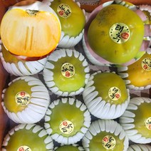 태추단감 5kg 배단감 태추감 창원 23년 햇태추단감 3kg 2kg 제철 선물세트 선물용 산지직송 10kg, 태추단감 5kg(22과 내외)