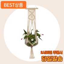 어펄스 마크라메 화분걸이 월행잉