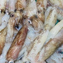 프로수산 국내산 급냉 꼴뚜기(중)1kg, 단품
