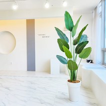 더알로하 극락조 인조나무 여인초 조화 130cm 160cm 190cm 인테리어 대형 화분, 극락조190cm