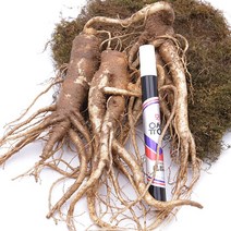 한줌농장 약도라지(특)1kg 국산 생도라지 장생 도라지, 1박스