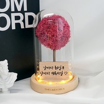 LED 메세지 각인 스칸디아모스 유리돔 무드등 거실 인테리어 조명 선물, 진핑크_폰트2