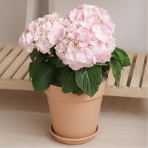 물빠짐구멍 화분받침 토기느낌 거실화분 방꾸미기 카페장식 장식품, 화이트