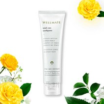 웰메이트 치약 WELLMATE 교원 리뉴얼 제품 웰네이처 프로폴리스 치약, 2개