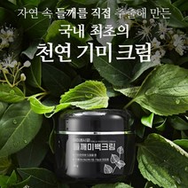 마미레시피 들깨기미크림 약국판매용 들깨 효능 기미제거 크림 50g, 1+1