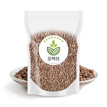 렌틸콩 렌즈콩 브라운 렌틸콩밥 1kg, 1개