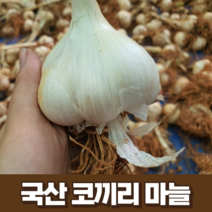 국산 코끼리마늘 3kg 5kg 10kg 국내산 23년 햇 마늘 식용 종자 웅녀마늘 국산 정읍 서산 해남 홍산 창녕 의성 담양 신안 대왕마늘, 1개, 3kg(소 사이즈)