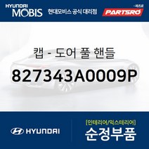 캡-도어 풀 핸들 (827343A0009P)-현대모비스 부품 공식대리점 온라인쇼핑몰 파츠로 투싼IX 투싼 수소차